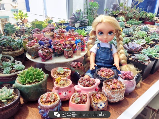 谈谈我的看法和感想,谈谈我对自己的看法