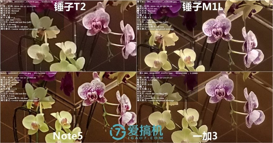 閿ゅ瓙smartisanm1l娴嬭瘎,閿ゅ瓙smartisanos7璇勬祴