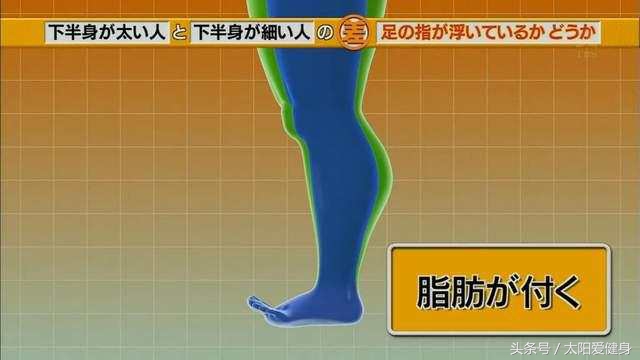 岛国象腿瘦身*法大**教学，如果健身长期没效果原因可能是这种