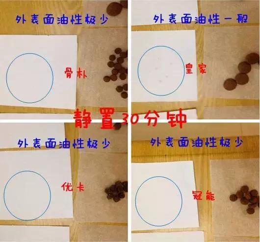 你真的知道该如何选择狗粮吗,如何选择合适的狗粮