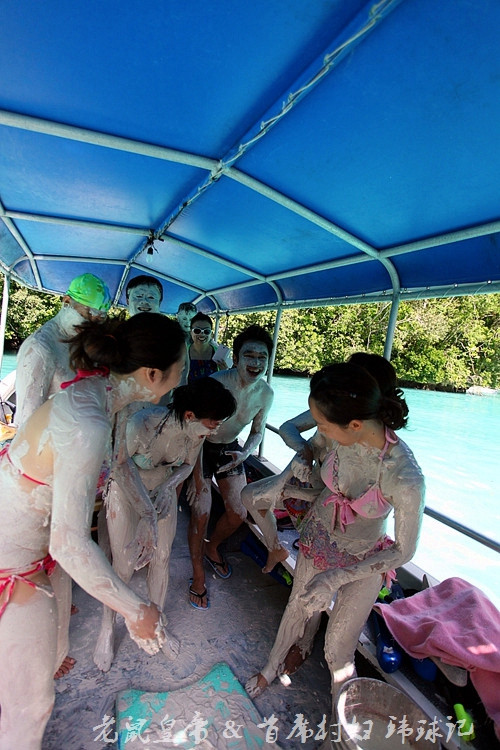 帕劳海底鲨鱼图片大全,帕劳海洋奇观之谜