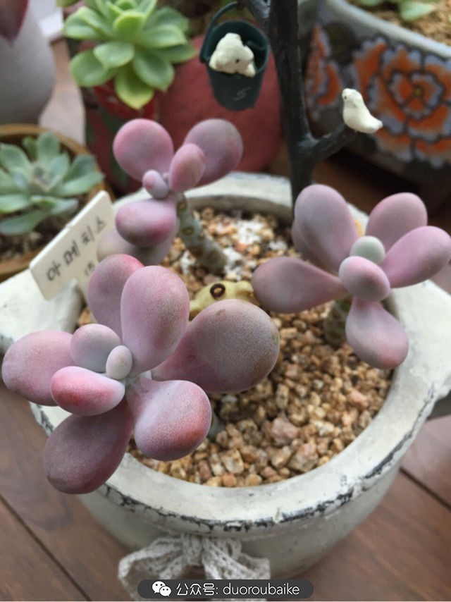 谈谈我的看法和感想,谈谈我对自己的看法