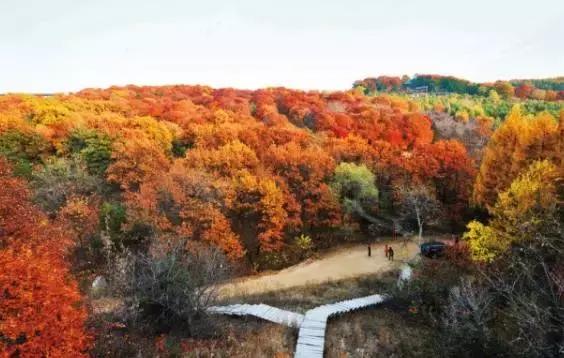 来吉林市游玩,来吉林市旅游