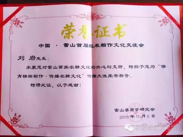 刘岩开幕式彩排,刘岩出席活动视频