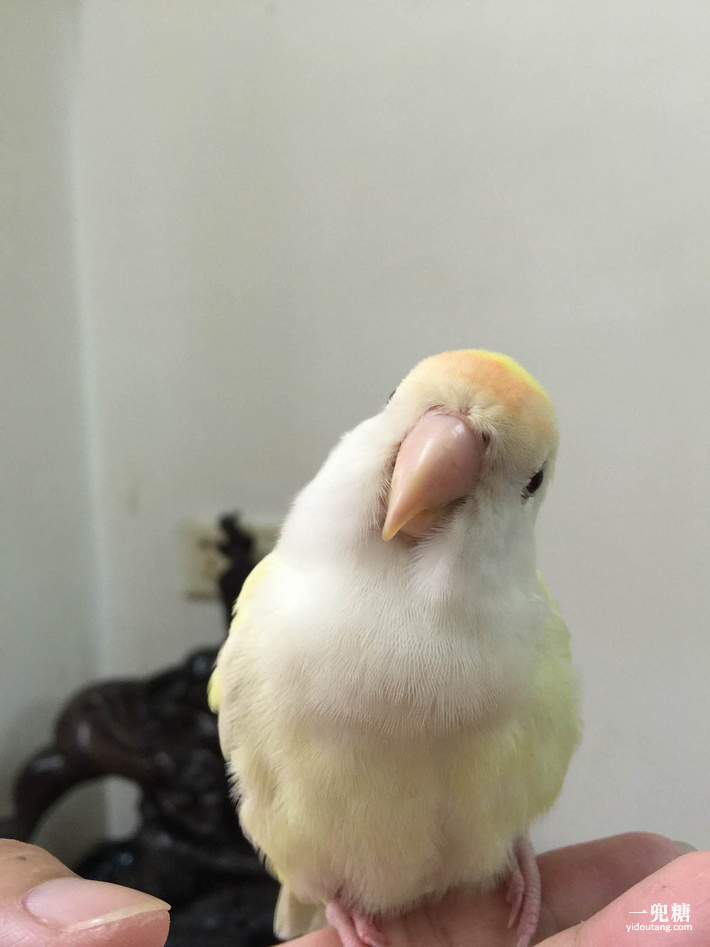 哪一种电暖炉比较好,轻奢电暖炉