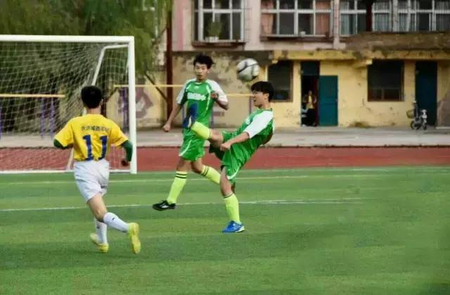 靳三涛、文新红丨花落舜乡