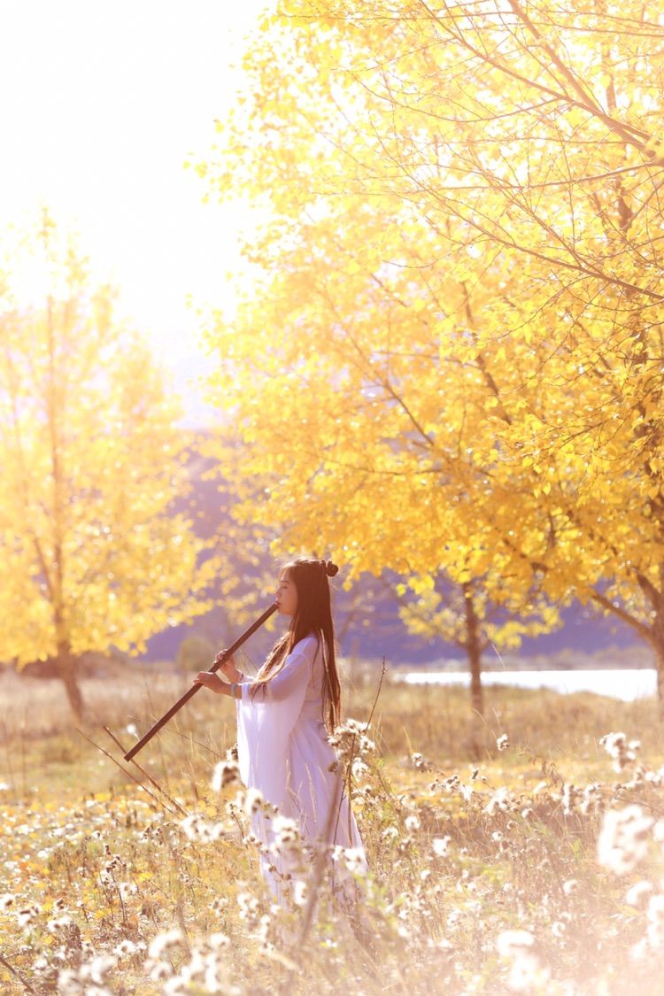 我在秋天等你是什么歌,我在秋天等你美到心碎散文