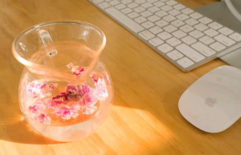 我是个内向的人,其实我是个内向的人英文