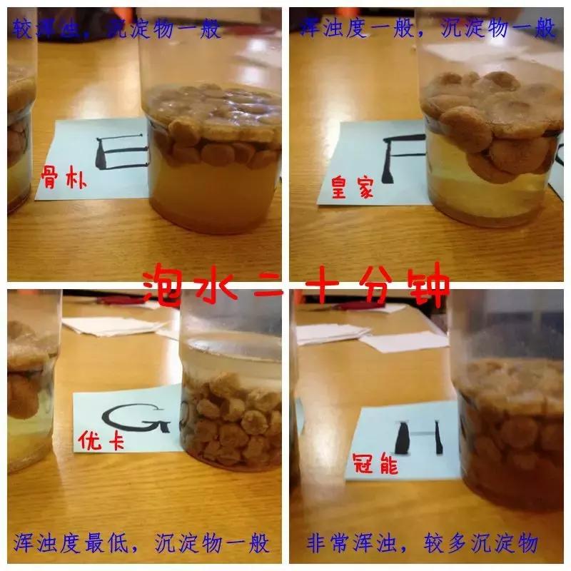 到底应该买什么狗粮,好的狗粮怎么买