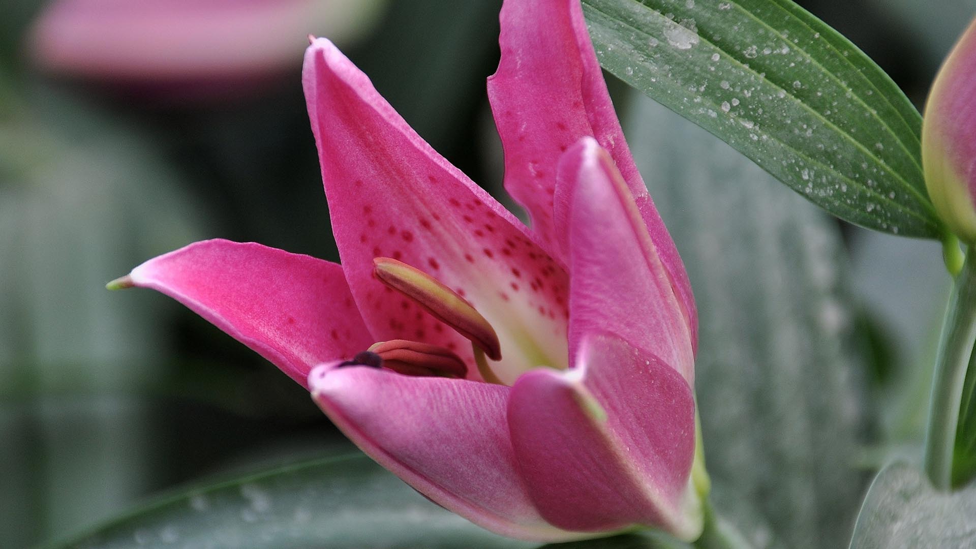 妇科清洗的误区,洗洗真的更健康吗