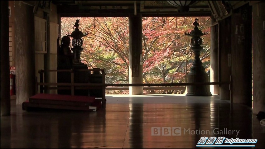 荣耀盒子装什么才能看电视直播,荣耀盒子可以安装电视直播吗