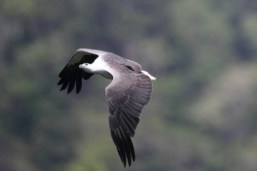 “微信之父”竟差点被雷军低价收编