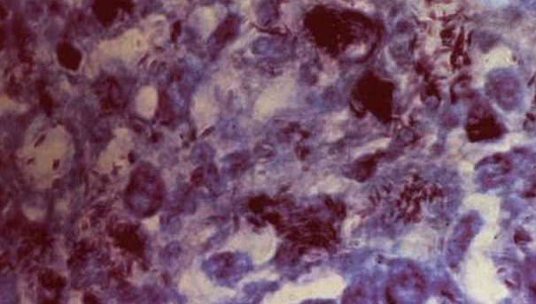 原创：炎陵有这样一块神秘之地风光怡人却不是景区（组图）