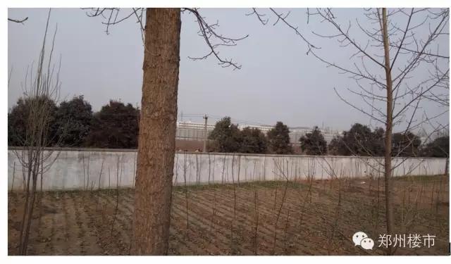 金科最新土拍价,金科土拍