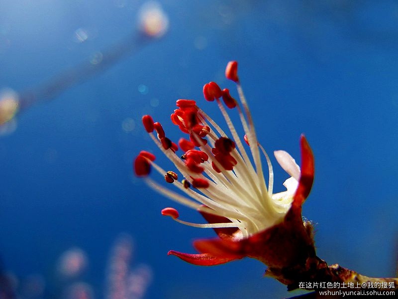 卡片机能拍出大片吗,卡片机能拍出压缩感吗