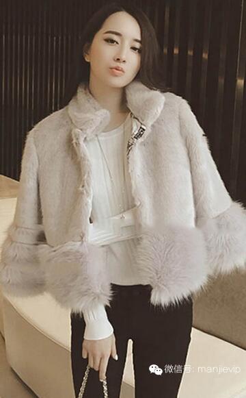 高端大气时尚皮草 (奢华大牌皮草高清写真集)