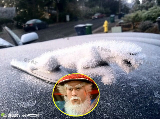 丈母娘说，车上有个老鼠的车是什么牌子？寻思半天，原来是它