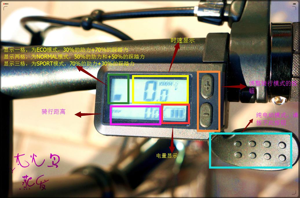 浜戦┈c1娴嬭瘎,浜戦┈c1缂虹偣