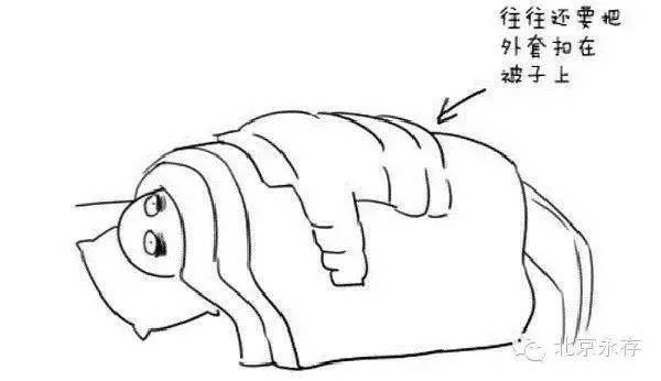 北京人暖气,今年北京暖气不热