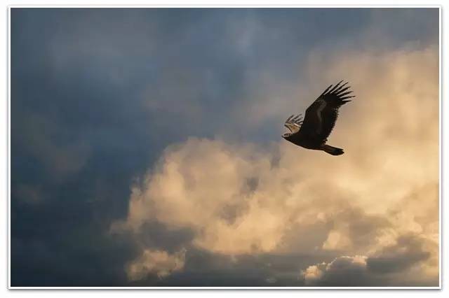 我的爱情不是上厕所||晶晶文化