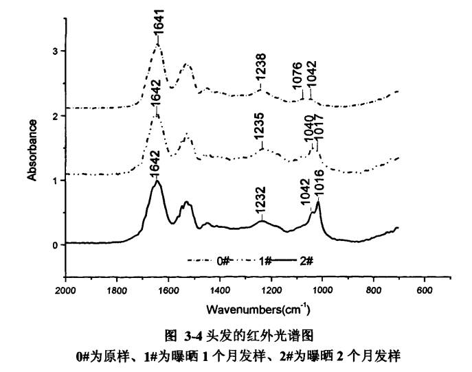 头发总分叉是缺什么营养,头发不分叉是不是营养好