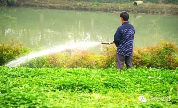 宁波哪些职业最赚钱,宁波最吃香的十大职业