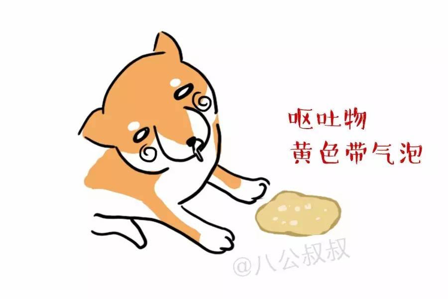 狗狗脂肪肝的临床表现,涨姿势对身体的好处