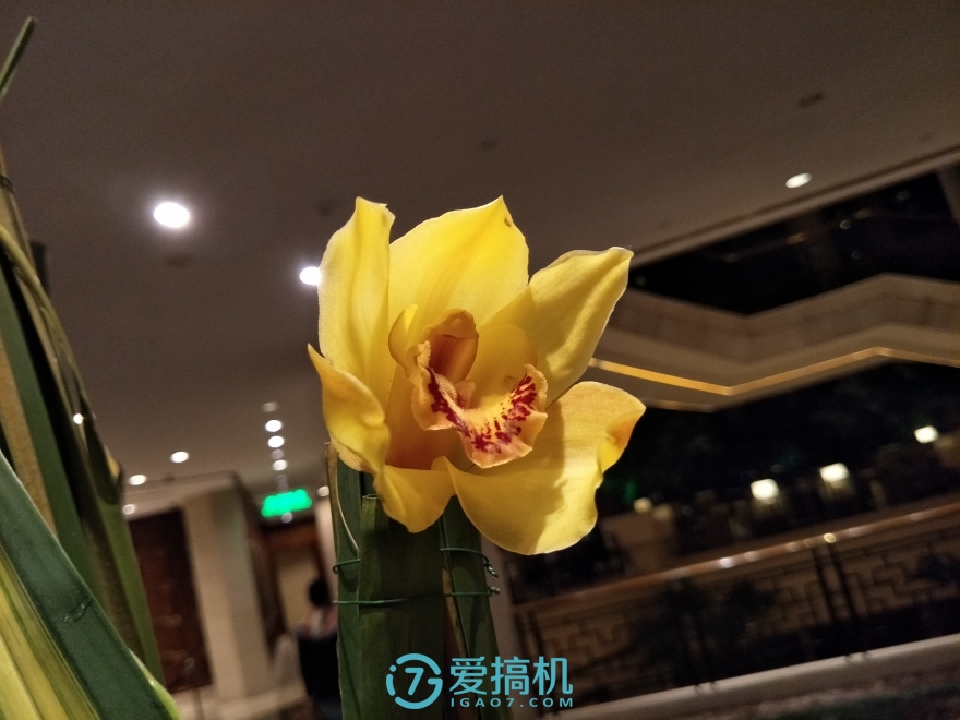 这一刻更清晰，OPPOR9s上手体验