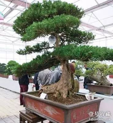 壹闻：地标里藏裸模彩绘艺术家创人体新玩法