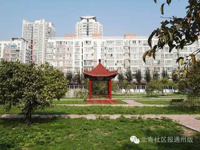 首师大附属中学通州校区,北京首师大附属中学通州校区场景