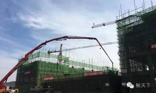 漂亮的新家,漂亮的新家完整视频