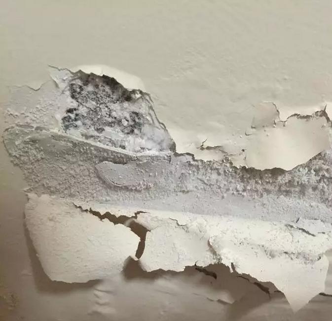 新房装修好墙面漏水,新房漏水墙面要不要处理