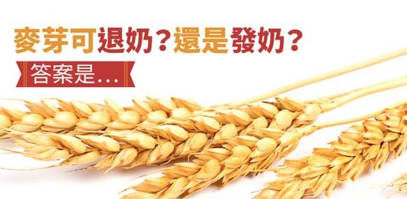 麦芽回奶要涨几天开始退奶,麦芽到底是催奶还是回奶的