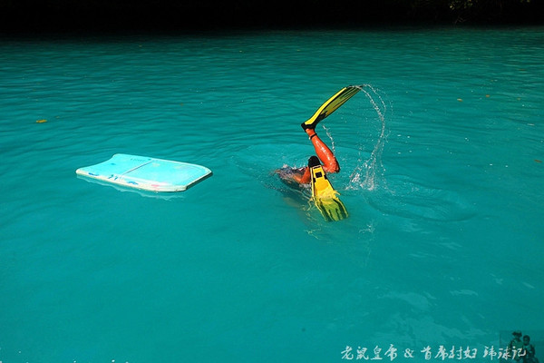 帕劳海底鲨鱼图片大全,帕劳海洋奇观之谜