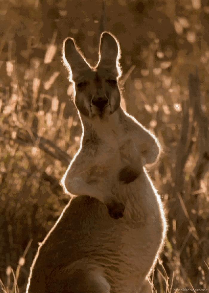 海外房产投资在中国合法吗,海外投资买房靠谱吗