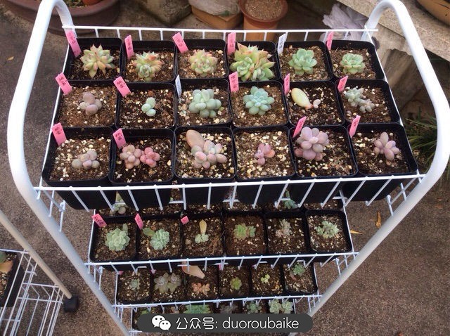 谈谈我的看法和感想,谈谈我对自己的看法