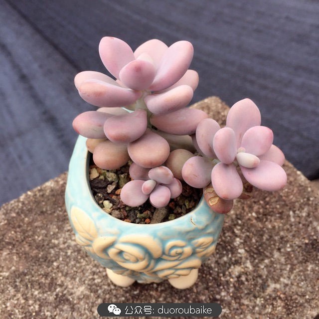 谈谈我的看法和感想,谈谈我对自己的看法