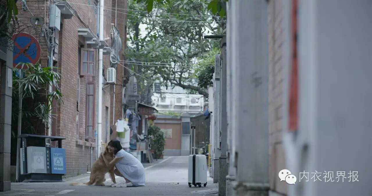 芬腾最新趋势,芬腾内衣最新产品