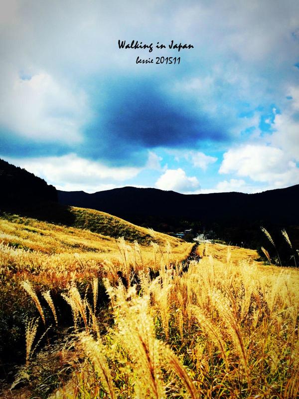 霓虹国秋日暴走之旅,漫步日本旅行游记