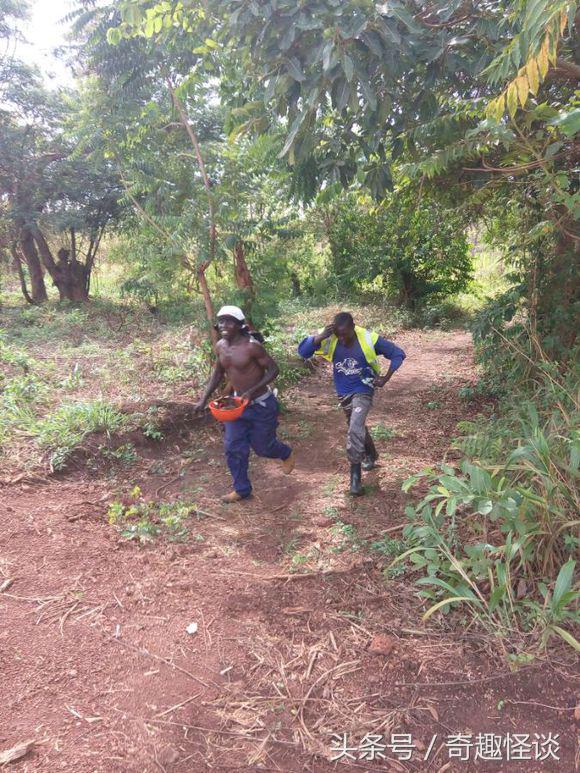 我在非洲工作的日子，给大家介绍下非洲的风土人情