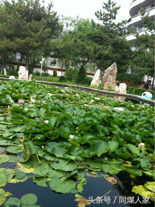 如果在“同家梁矿遇到你