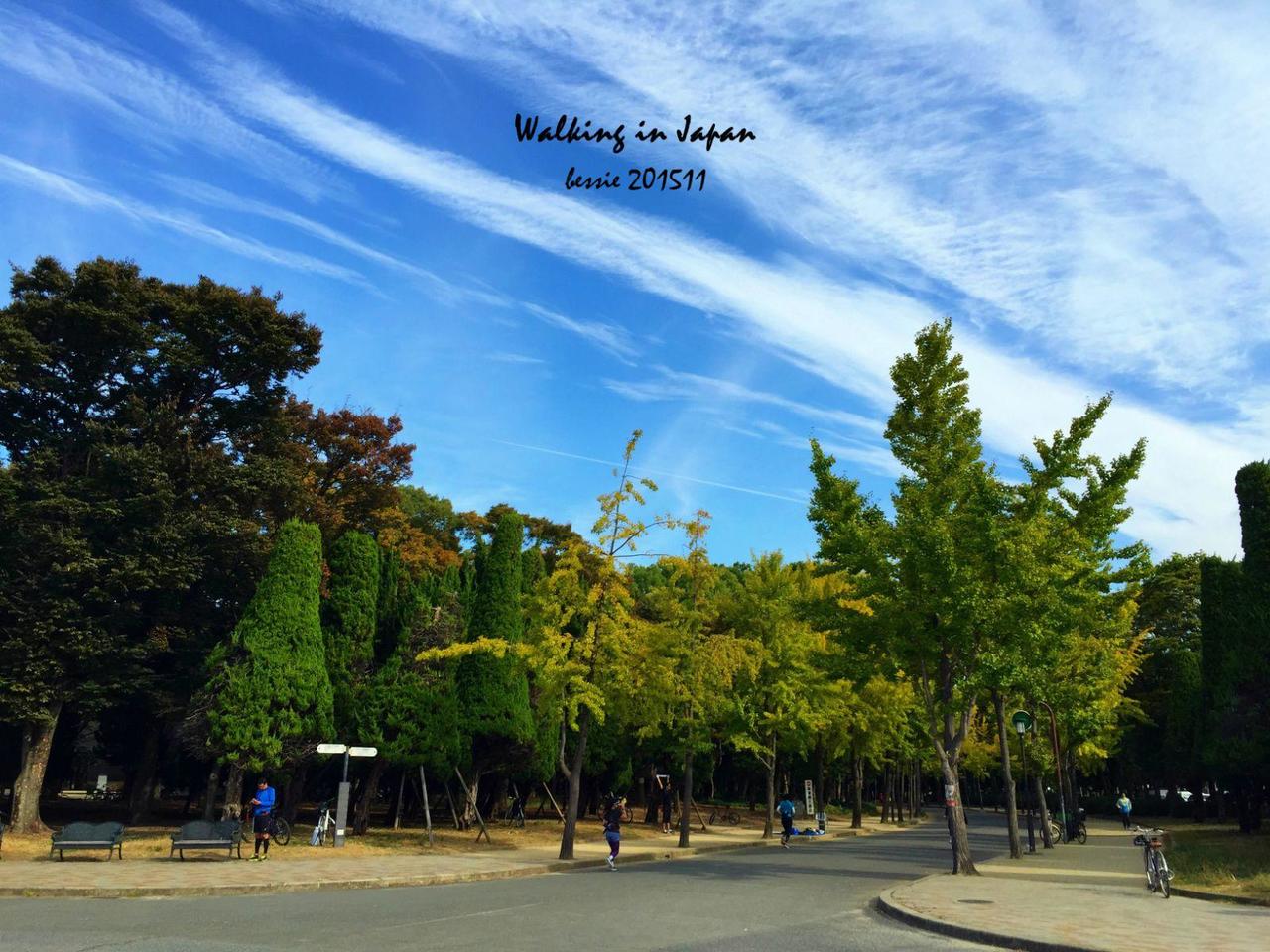 霓虹国秋日暴走之旅,漫步日本旅行游记