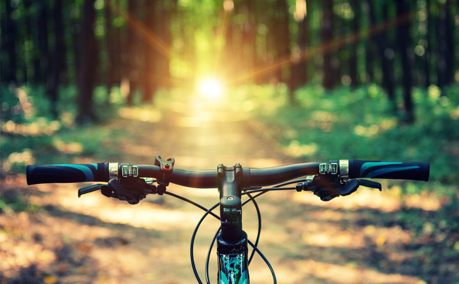 刘大疤子完整版,刘大铭和他的妻子有孩子吗