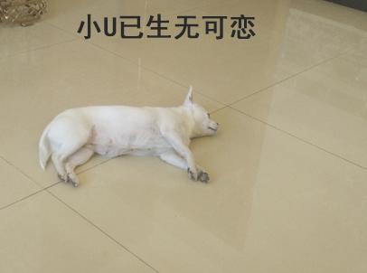 有一个会做饭室友是一种什么体验,自己租房子找个室友需要注意什么