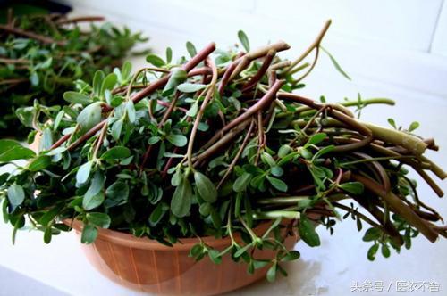 白带异味怎么处理小方法,白带异味吃什么药根治