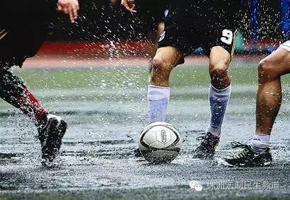 word哥完整视频,word哥原版视频