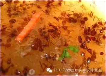 泰可怕这个居然也能吃?