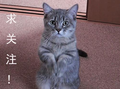 自助牛肉火锅套餐优惠团购,9.9牛排自助乌鲁木齐团购