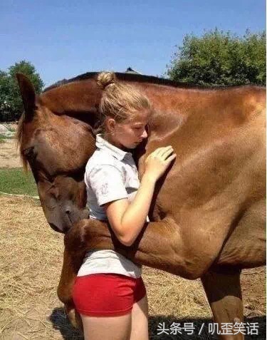 有哪些姓马的人令人佩服,这辈子最佩服的就是自己