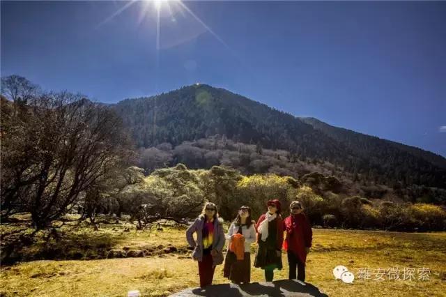 最美的季节,醉美的季节原唱视频